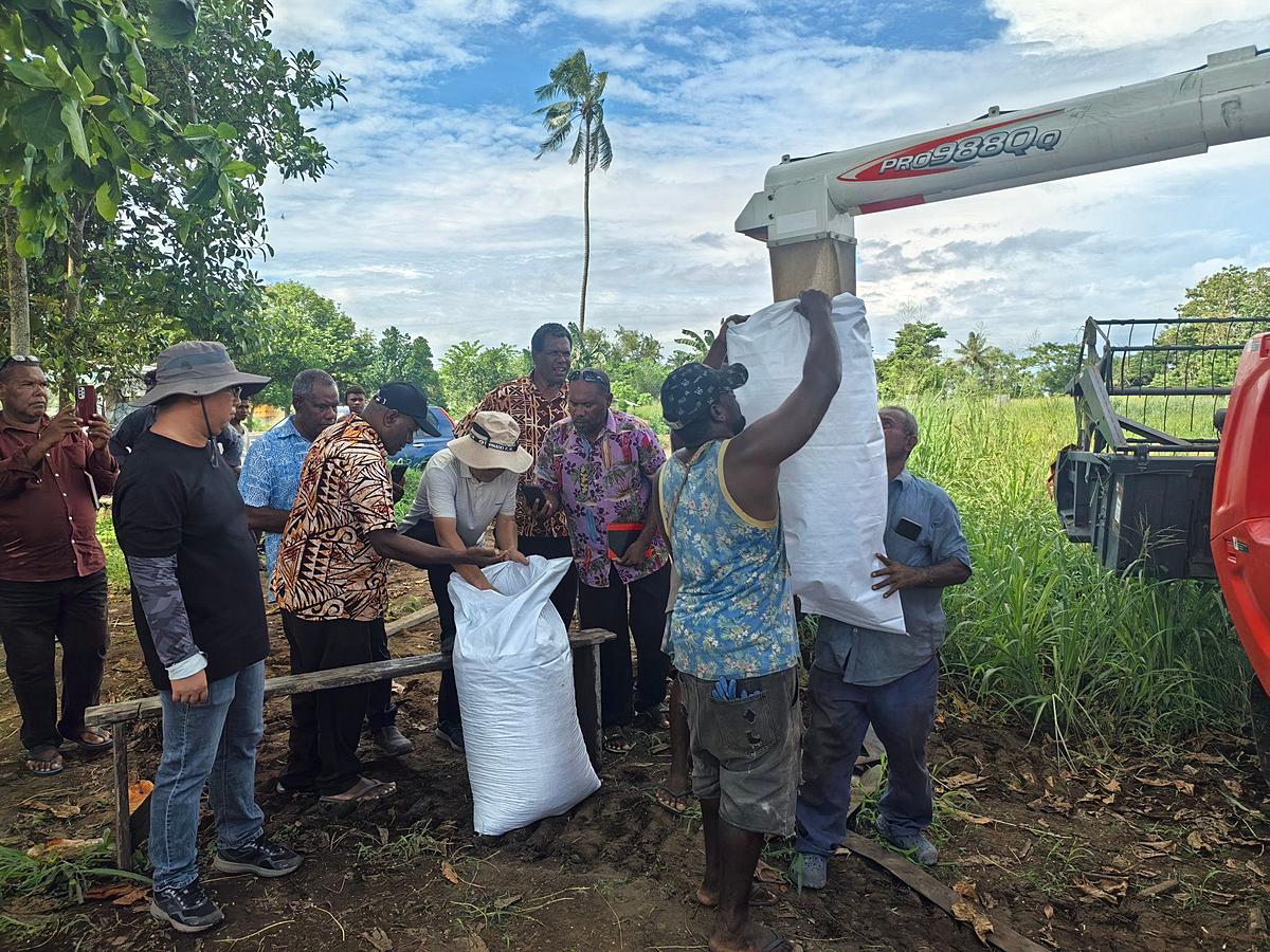 Ministry of Agriculture and Livestock Achieves Breakthrough in Rice Production