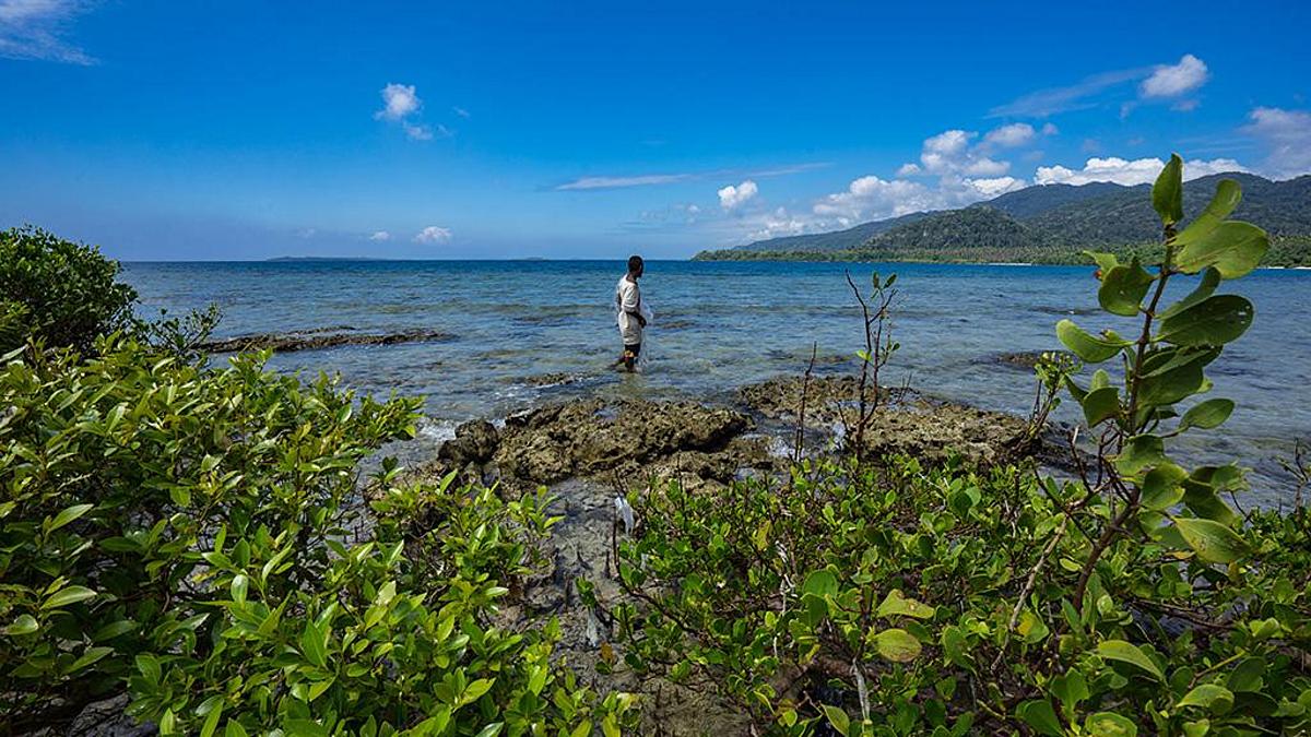 Pacific growth slows to 3.4% in 2026, 3.2% in 2027 as conflict risks mount, ADB says