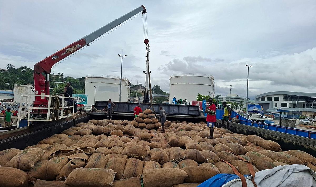 Solomon Islands repeals coconut management fees to support exporters, farmers