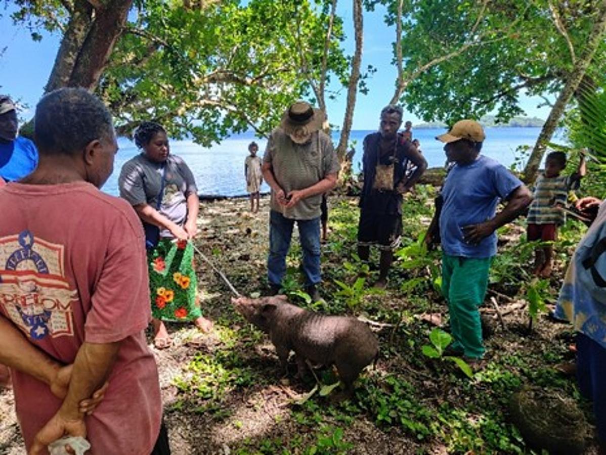 Livestock outreach programme boosts rural farming skills in Makira Province