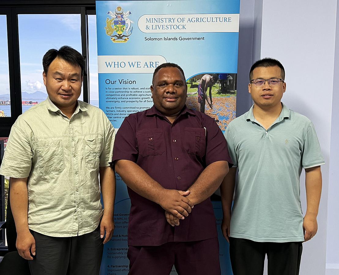 MALD Meets JAAS Rice Experts to Advance Solomon Islands' Rice Development Agenda