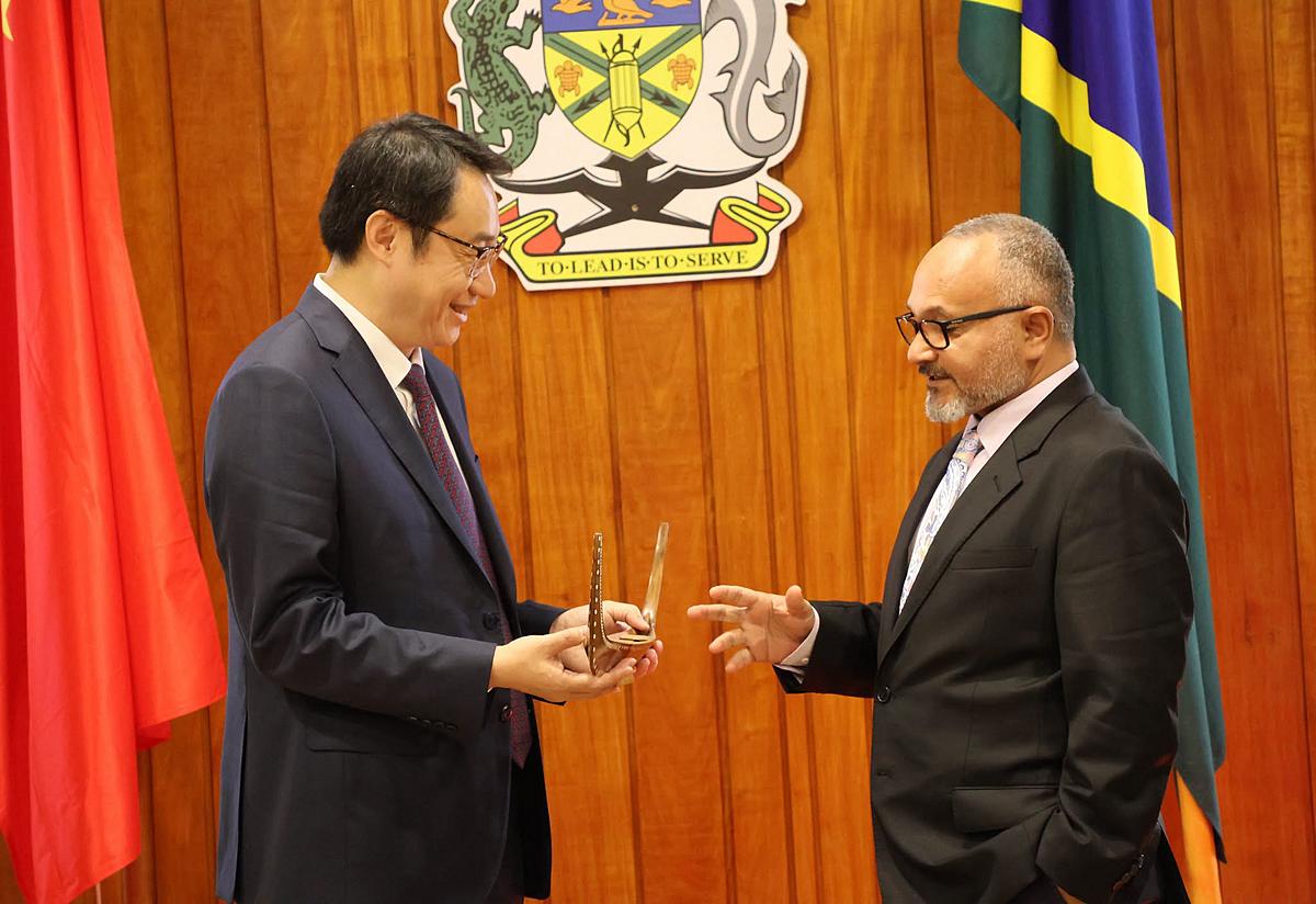 Wale seeks deeper Jiangsu ties to drive Solomon Islands development