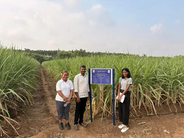 Fiji government backs crop diversification to boost sugarcane farmers’ returns